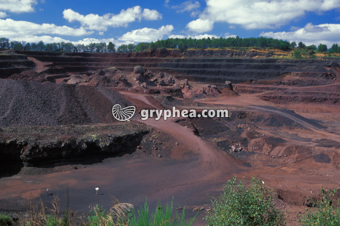 Puy de Lemptégy - gryphea.com